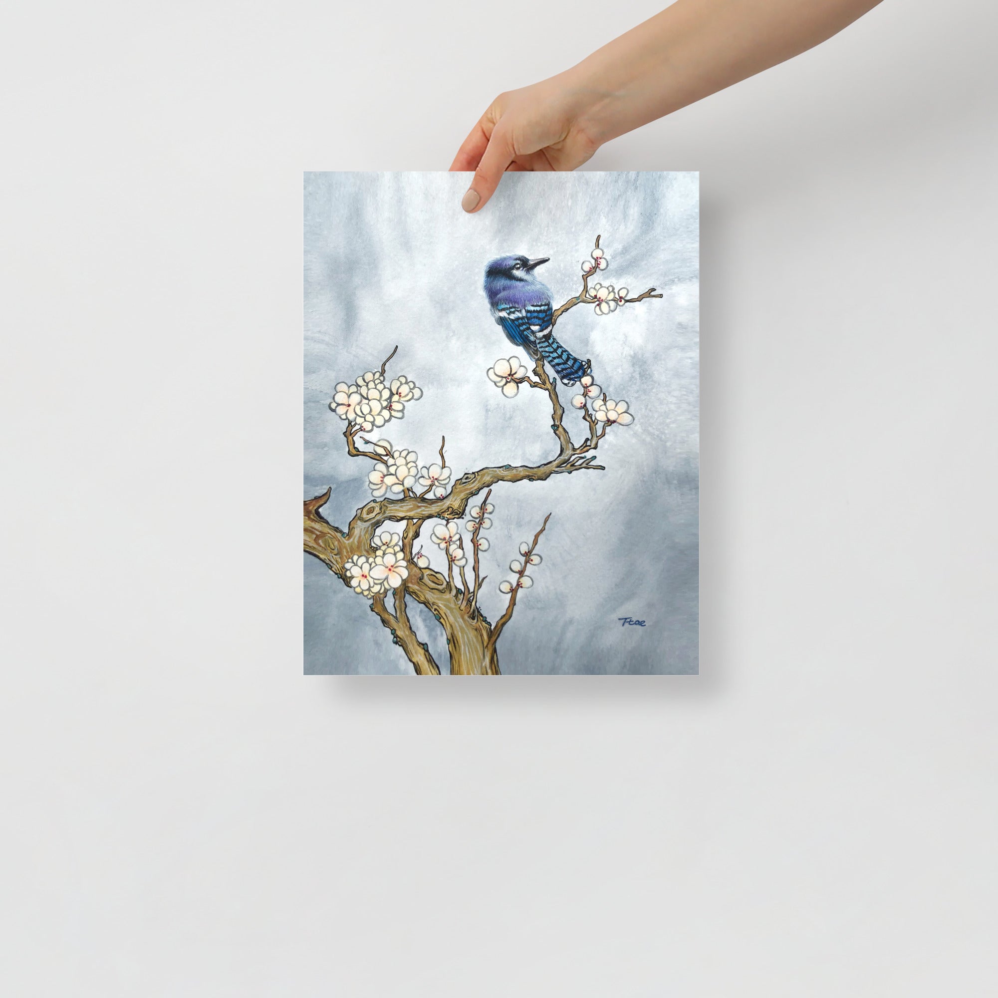 Hand holding a 11x14 inch art print with a bluejay and tree design on a light gray background, which symbolizes freedom and prosperity.