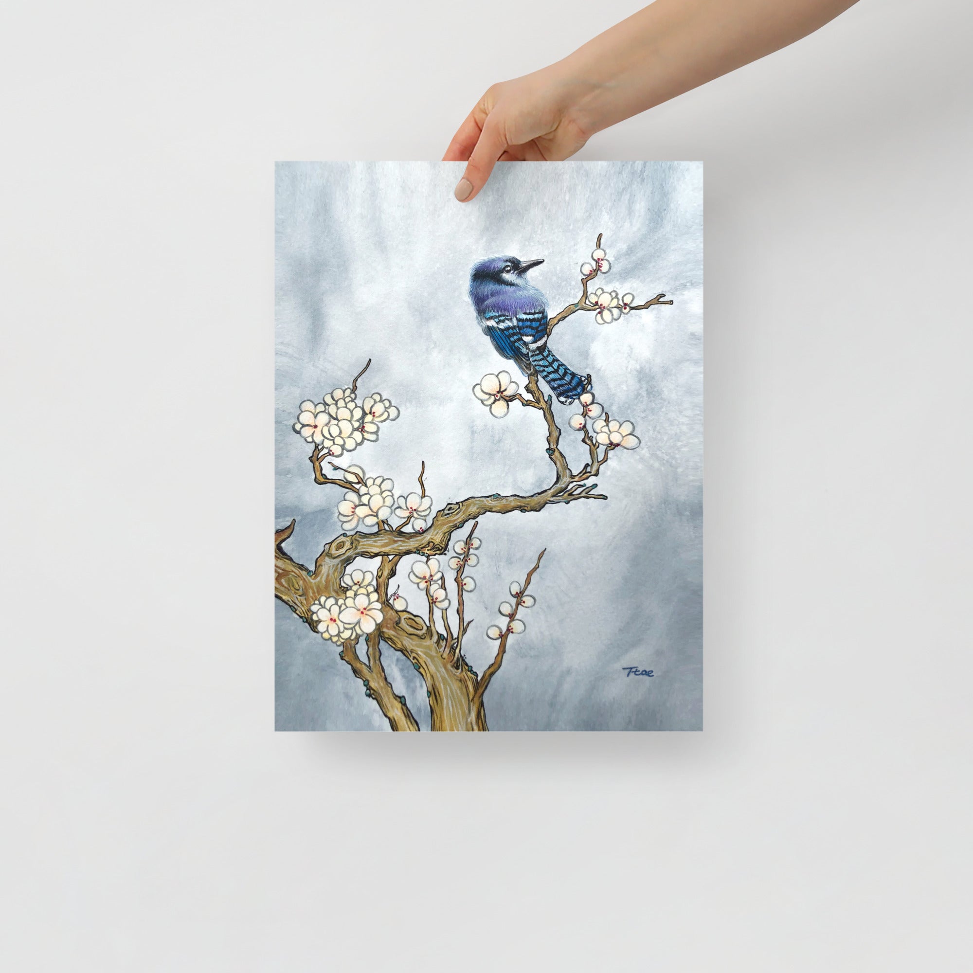 Hand holding a 12x16 inch art print with a bluejay and tree design on a light gray background, which symbolizes freedom and prosperity.