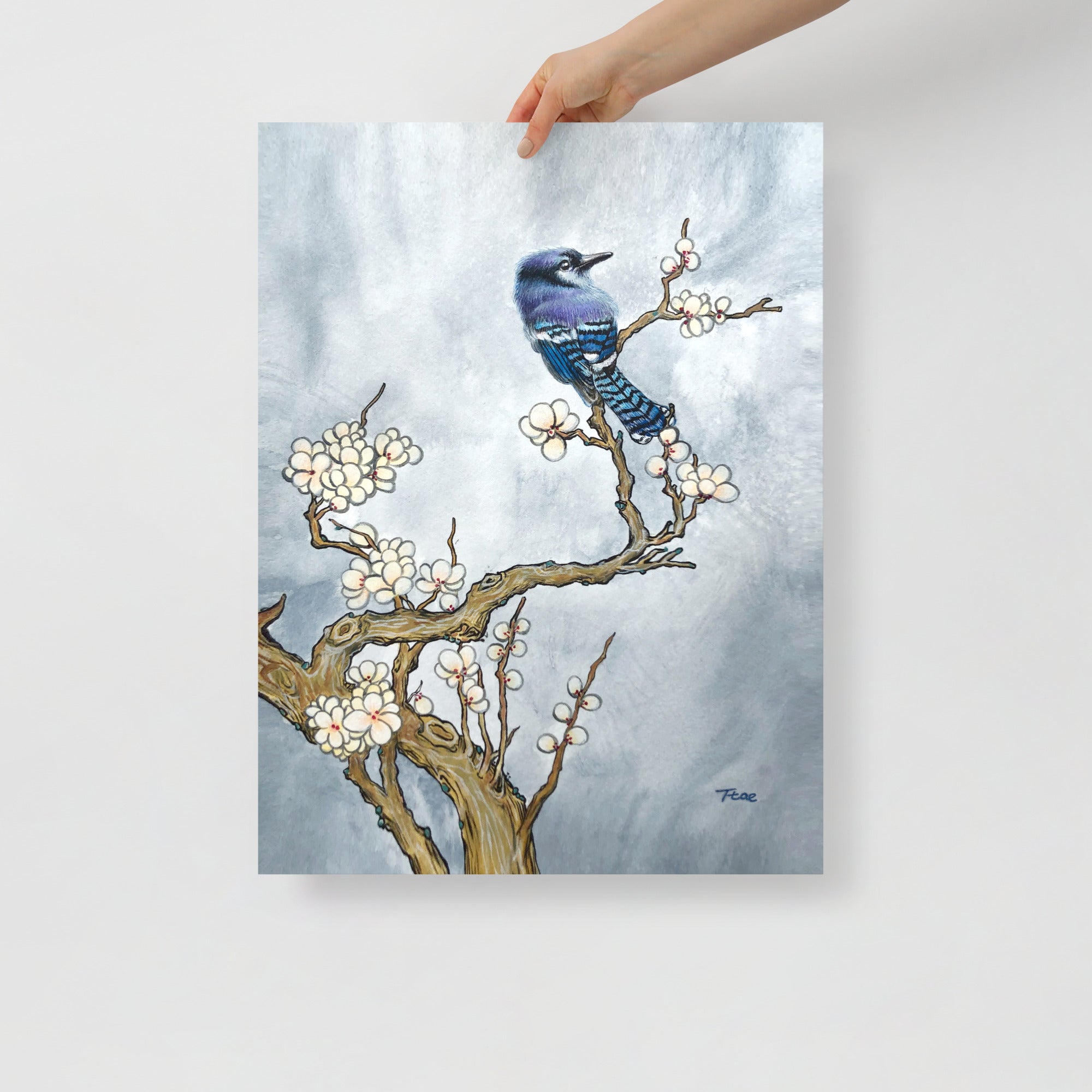 Hand holding a 18x24 inch art print with a bluejay and tree design on a light gray background, which symbolizes freedom and good fortune.