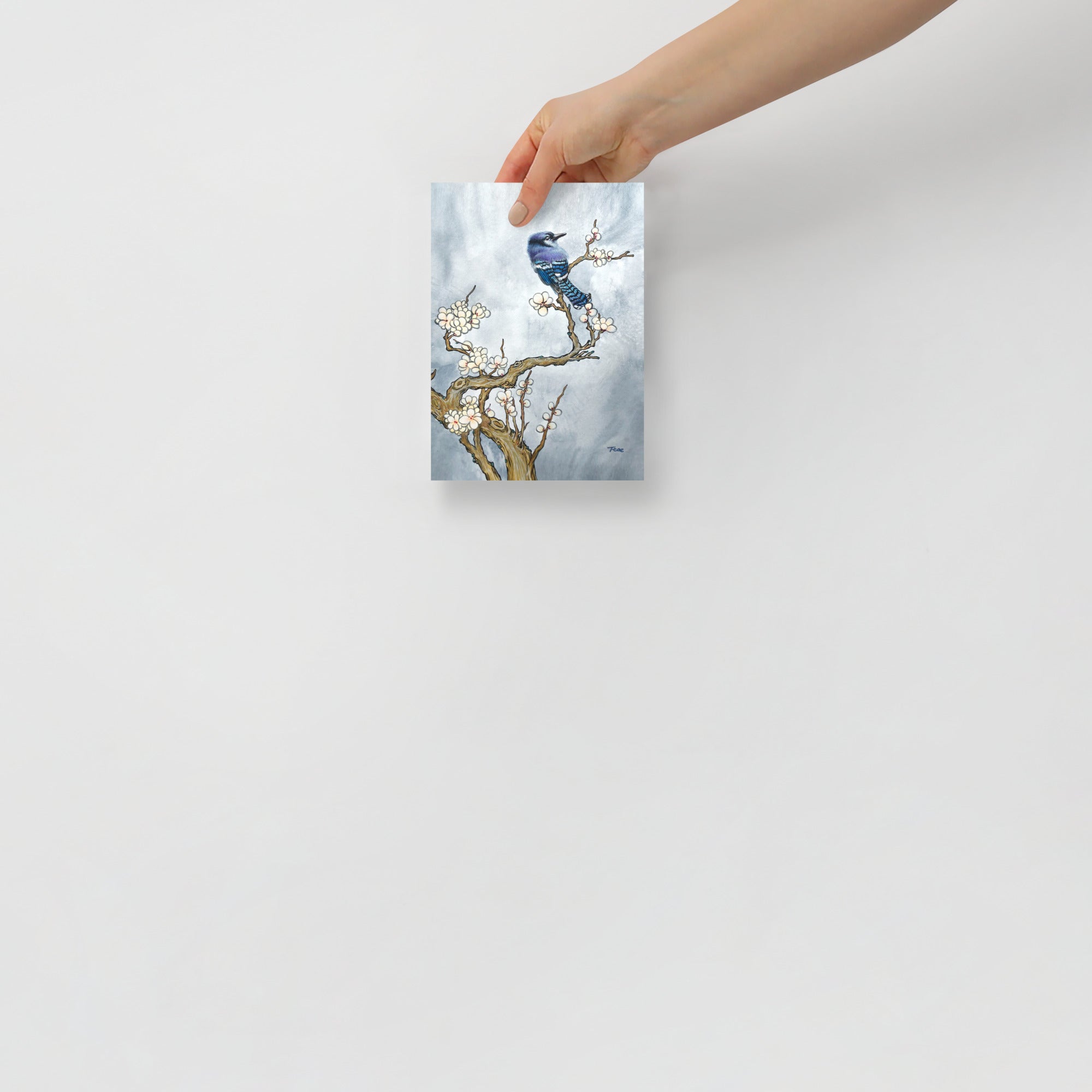 Hand holding a 5x7 inch art print with a bluejay and tree design on a light gray background, which symbolizes freedom and prosperity.