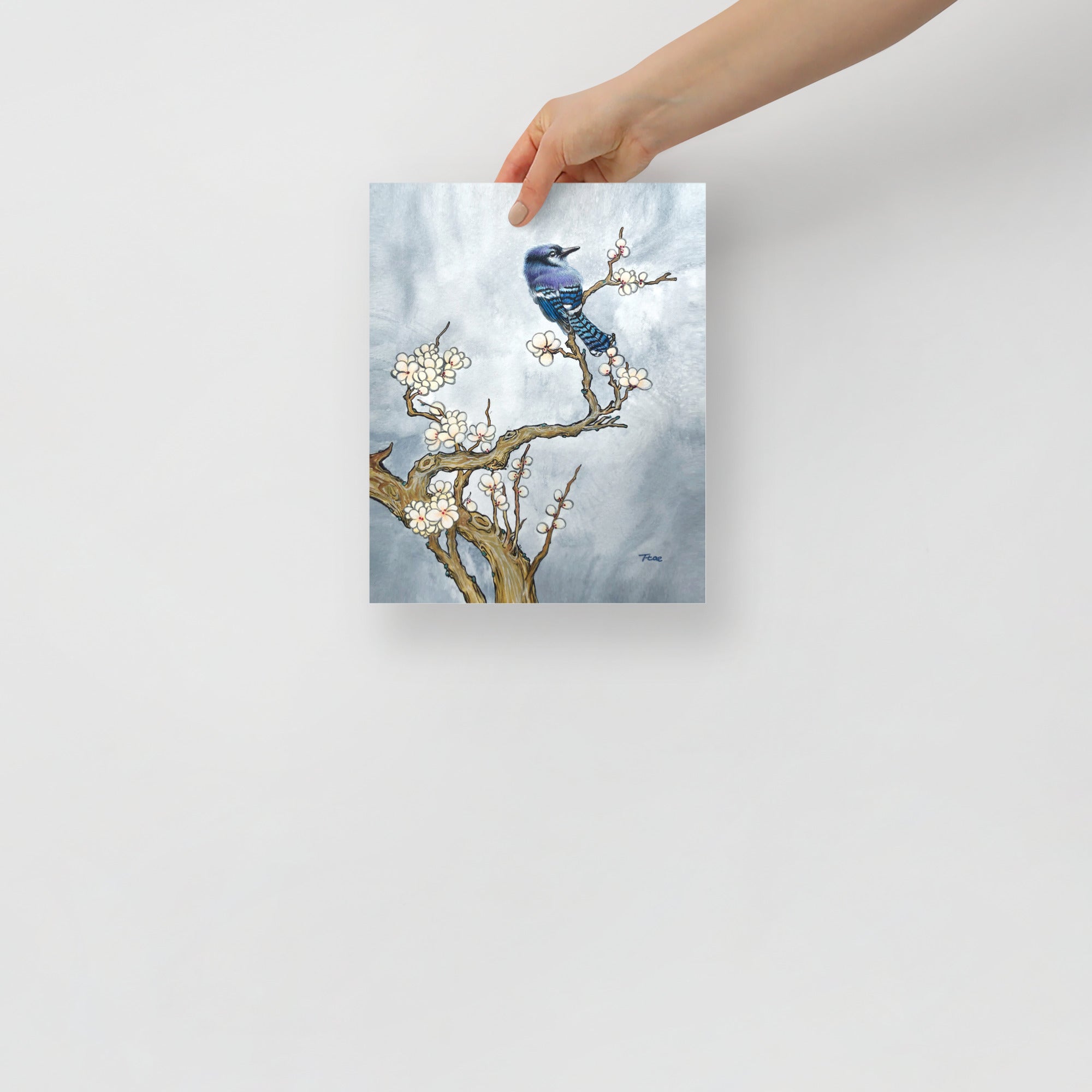 Hand holding a 8x10 inch art print with a bluejay and tree design on a light gray background, which symbolizes freedom and prosperity.